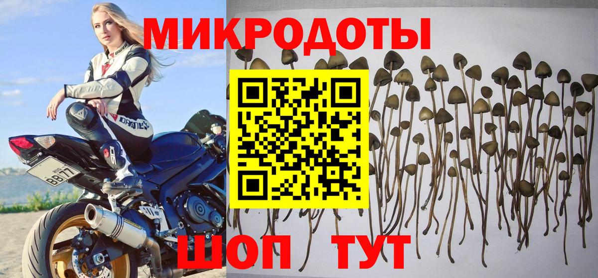 Галлюциногенные грибы GOLDEN TEACHER Рузаевка