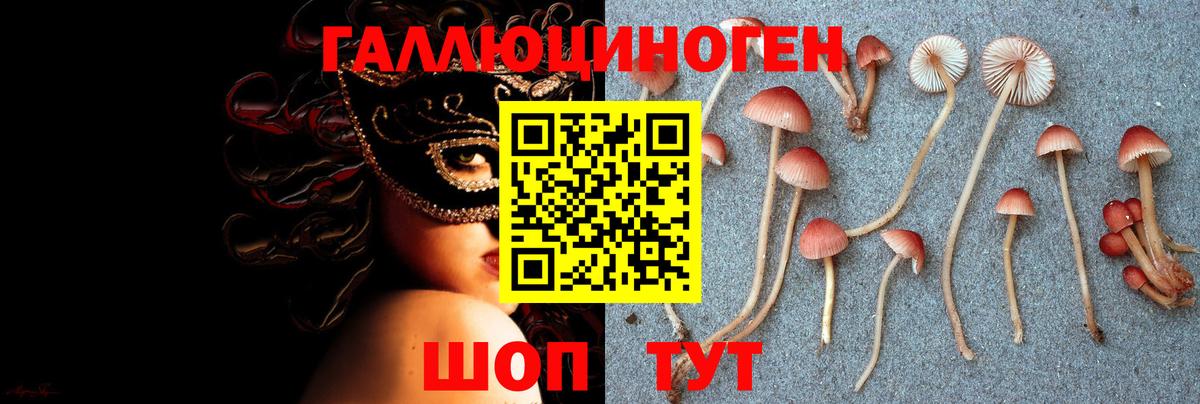 Галлюциногенные грибы Psilocybine cubensis  Вход с VPN  Рузаевка  Псилоцибиновые грибы Cubensis 
